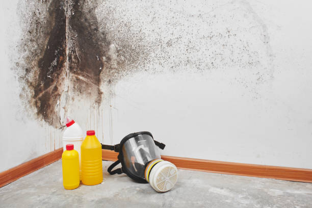 Best Crawl Space Mold Removal  in Cashion, OK