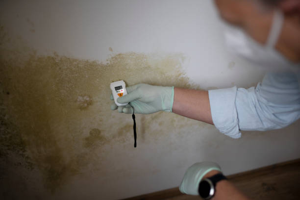 Best Mold Cleaning Services  in Cashion, OK