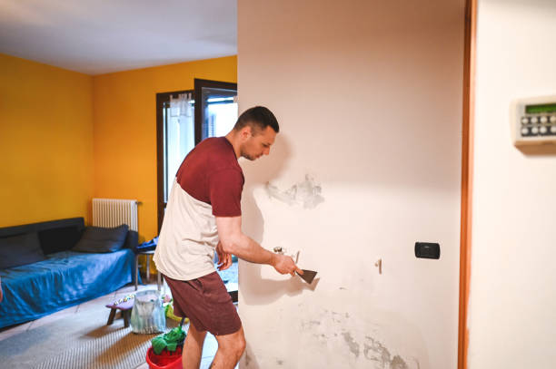  Cashion, OK Mold Removal Pros