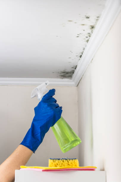 Best Mold Testing  in Cashion, OK